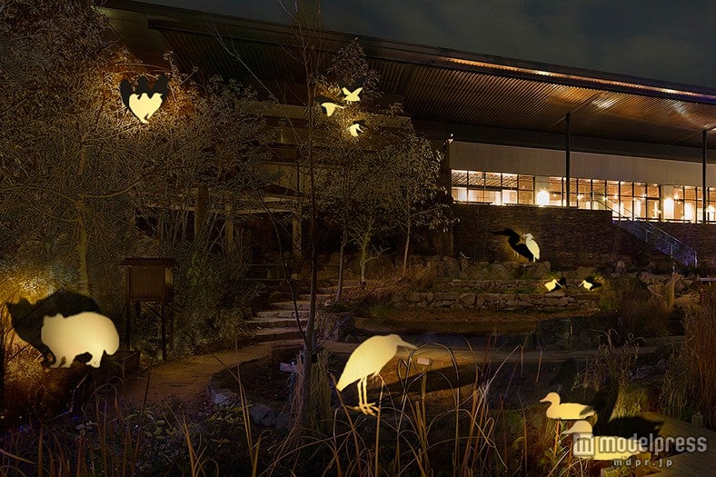 「見つけよう！里山のいきものたち」