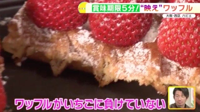 行列ができる名店!インパクト抜群のワッフル&かつサンド