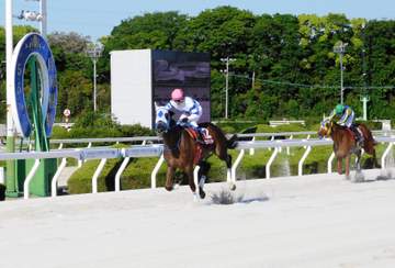【地方競馬】ゴッドフェンサーが兵庫3歳3冠の2冠目を重賞4連勝で奪取