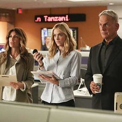Ncis ネイビー犯罪捜査班 のあの捜査官 グレアナ ションダ ライムズのnetflix初ドラマに出演 モデルプレス Ncis ネイビー犯罪捜査班 のあの捜査官 グレアナ ションダ ライムズのnetflix初ドラマに出演 モデルプレス