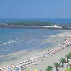 カリフォルニアのような風景広がる青島ビーチ