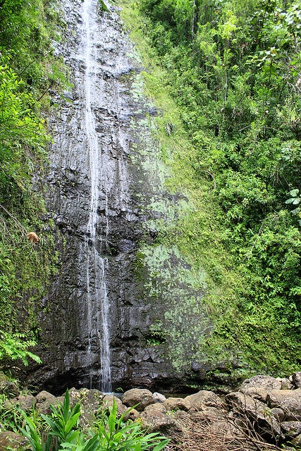 マノア滝／photo by Alicia0928