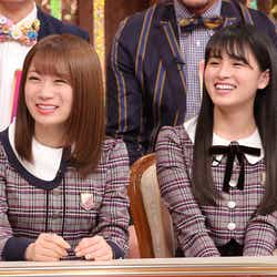 モデルプレス - 乃木坂46大園桃子が感涙 秋元真夏と“処世術”学ぶ