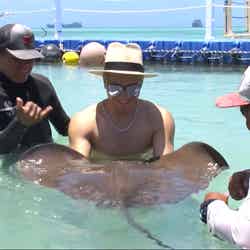 エイに触れることができる人気アクティビティ「Sea Touch」(提供写真)