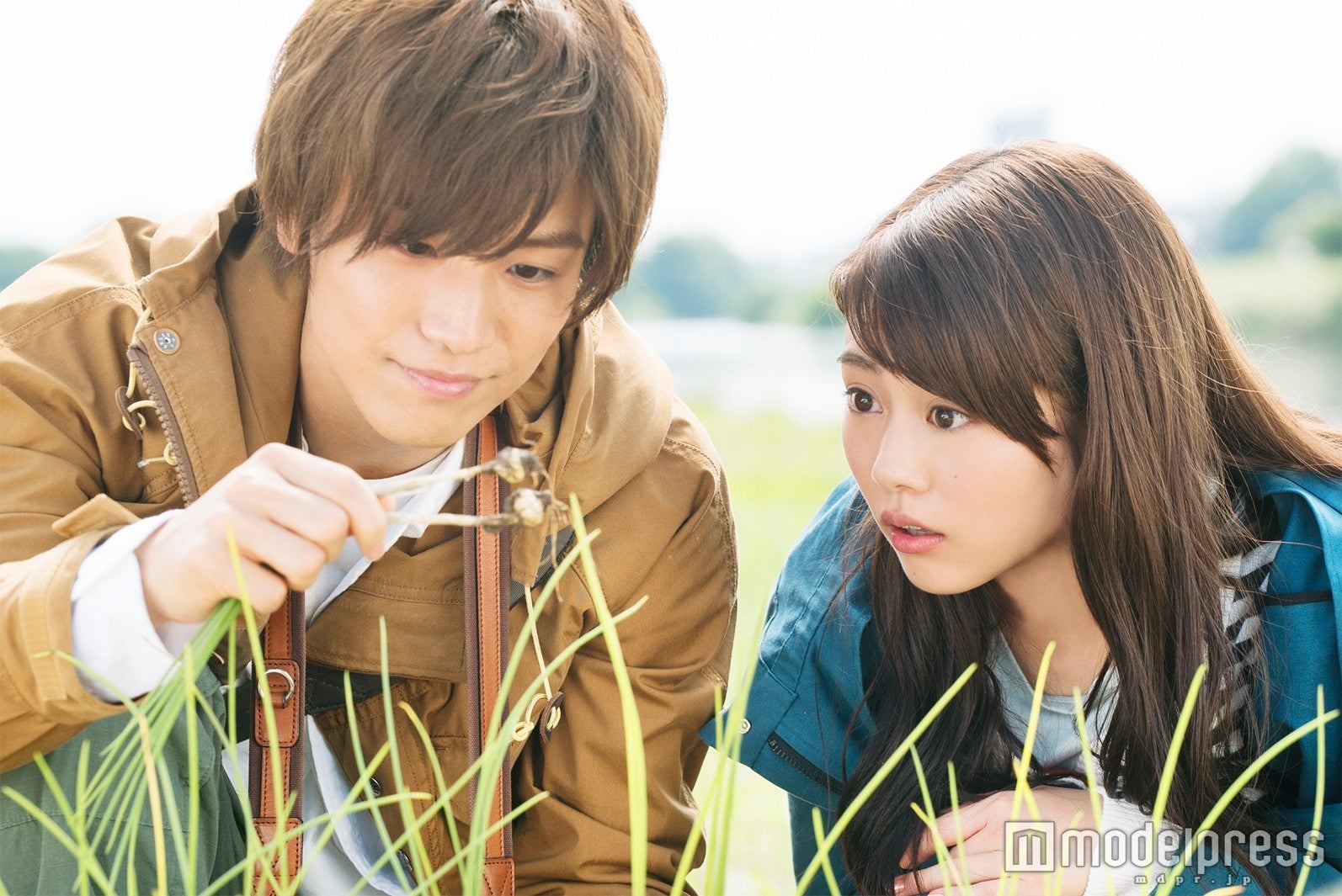 岩田剛典、高畑充希（C）2016「植物図鑑」製作委員会