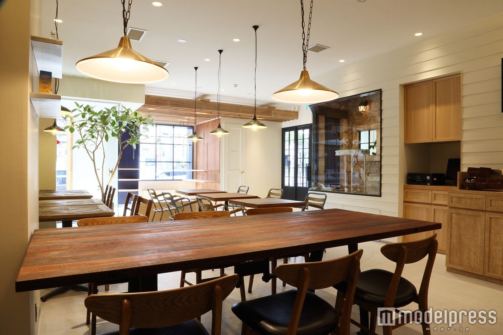 スタイリッシュでナチュラルな空間／画像提供：ダイアナ