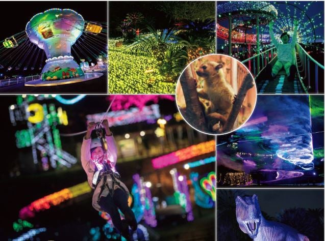 伊豆高原グランイルミ／画像提供：伊豆シャボテン公園