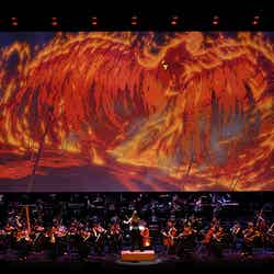 「ファンタジア・コンサート」火の鳥