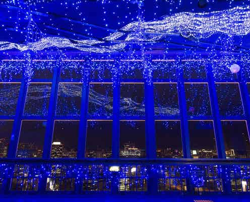 東京タワーで夏夜に輝く「天の川イルミ」 夜景×イルミの幻想的な情景にうっとり