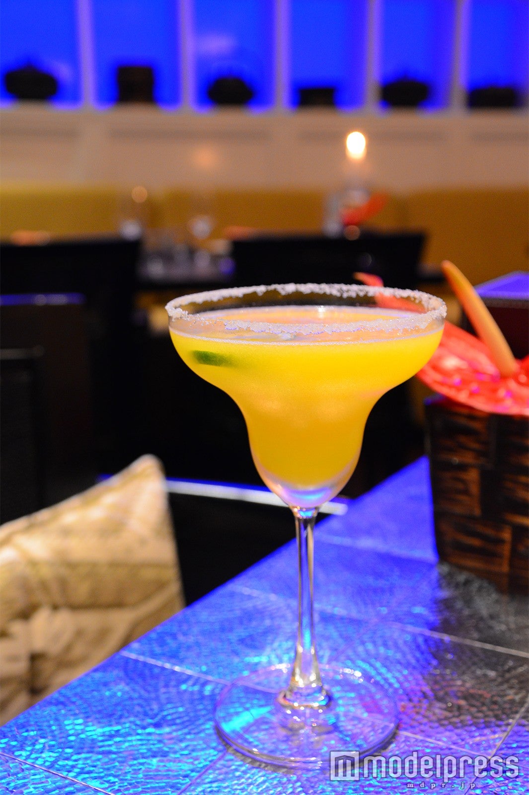 バジル（C）モデルプレス