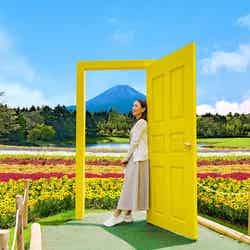 虹の花まつり/画像提供:富士急行