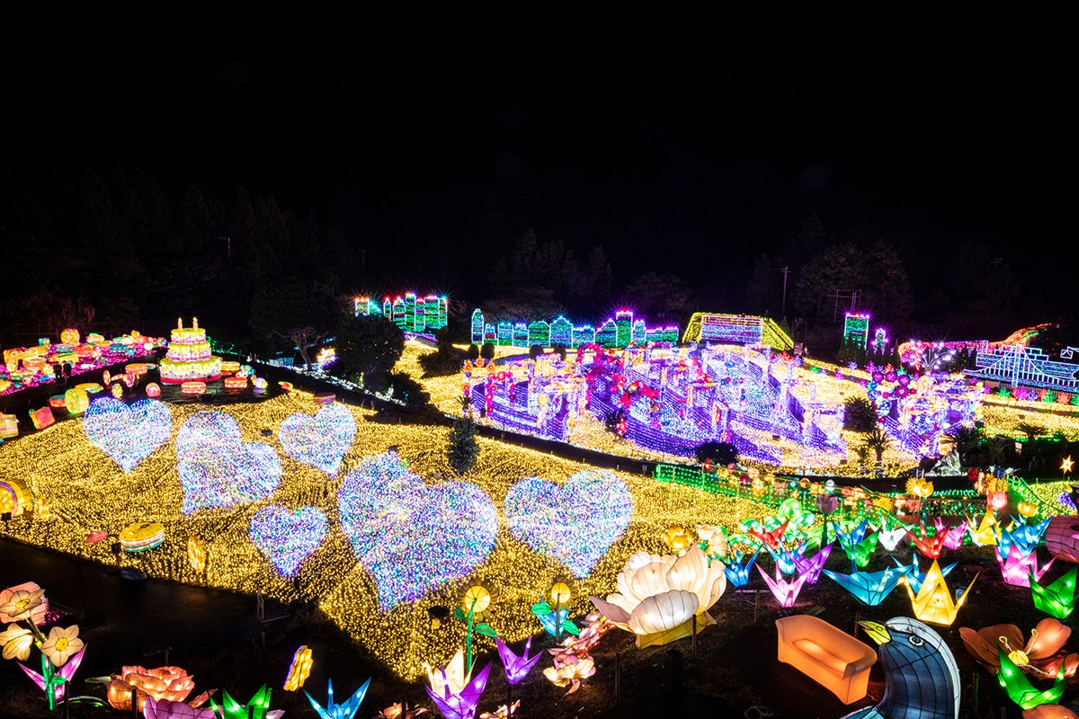 伊豆高原グランイルミ／画像提供：伊豆シャボテン公園