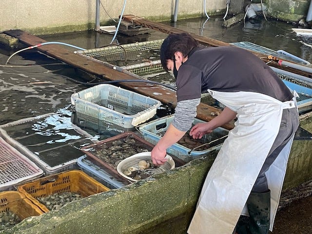 【淡路島・絶景温泉】オーシャンビューが自慢の温泉から、藍染体験、新鮮な海の幸グルメまで。淡路島ワンデイトリップにおすすめのスポット