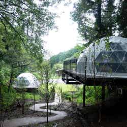 ムーミンスペシャルルーム/画像提供:温泉道場