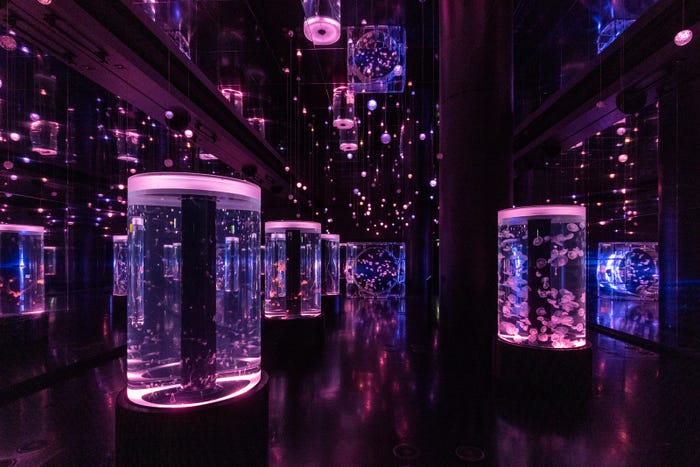 SEVENTEEN 'FOLLOW' THE CITY NIGHT AQUARIUM(C)HYBE JAPAN