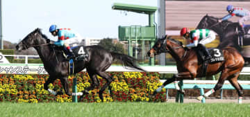 【水仙賞】ノーブルサヴェージ 最速タイの末脚V 無傷の2連勝にルメール「折り合いも良かったし、距離も大丈夫」