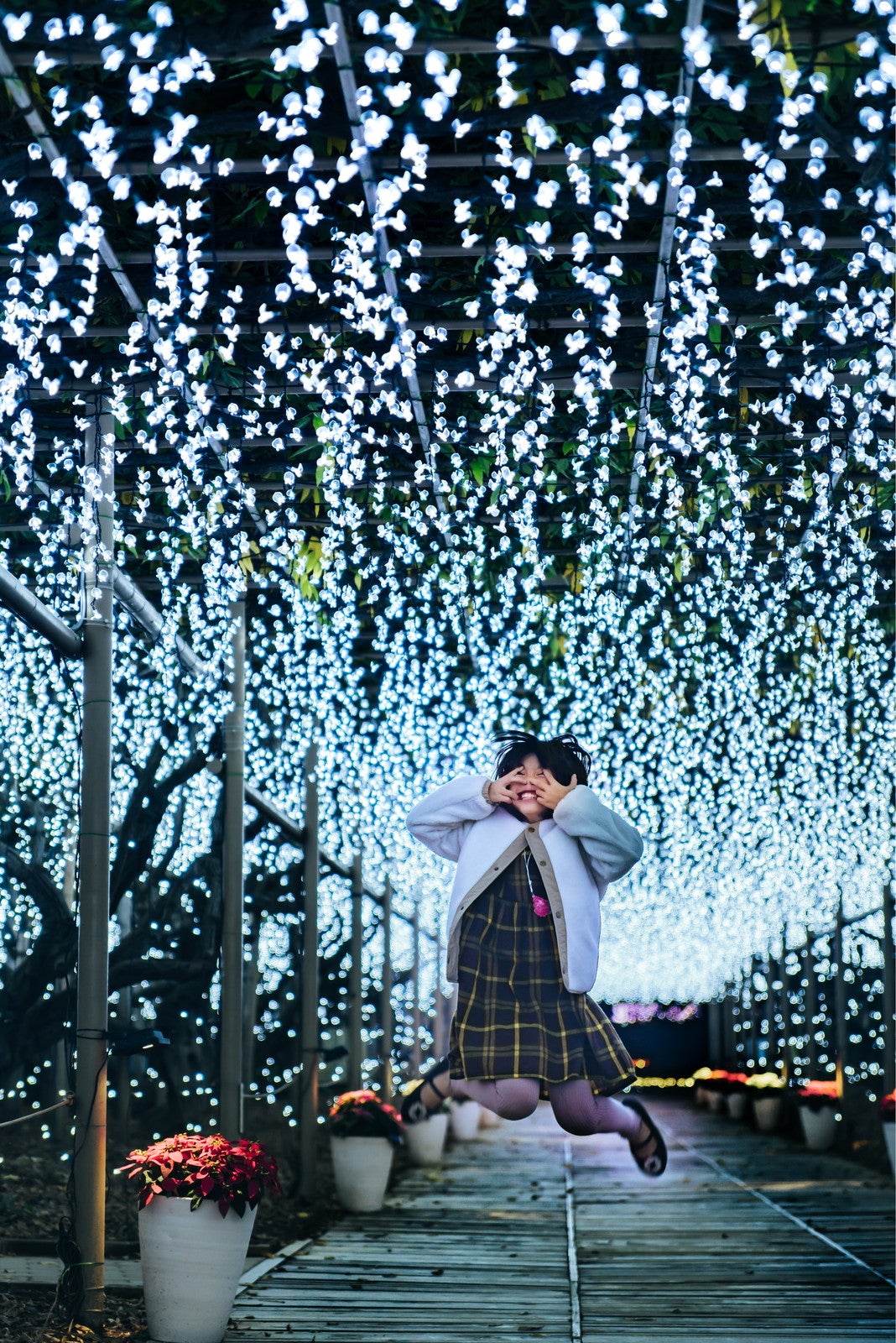 光の花の庭～Flower Fantasy（提供写真）