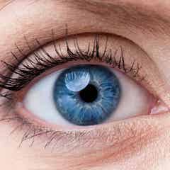 アイプチをした時の化粧の順番は 失敗知らずのアイプチメイク術 モデルプレス アイプチをした時の化粧の順番は 失敗知らずのアイプチメイク術 モデルプレス