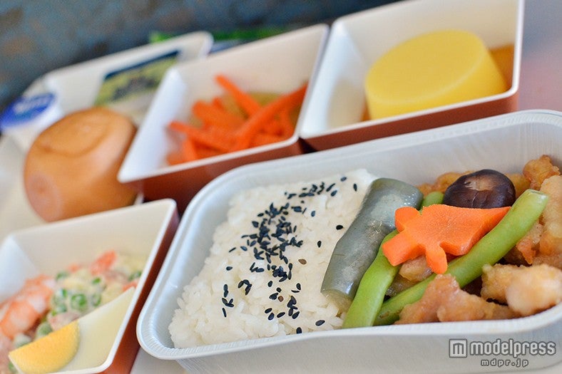機内食一例／和風の煮付け、マカロニサラダ、プリン