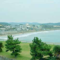 電車で行ける、関東近郊GW日帰りプラン5選【モデルプレス】