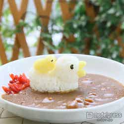 アヒルカレー/画像提供:ことりカフェ(撮影:オザ兵長)【モデルプレス】