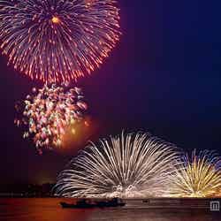 2500発の花火が打ち上がる「鎌倉花火大会」/画像提供:鎌倉市観光協会【モデルプレス】