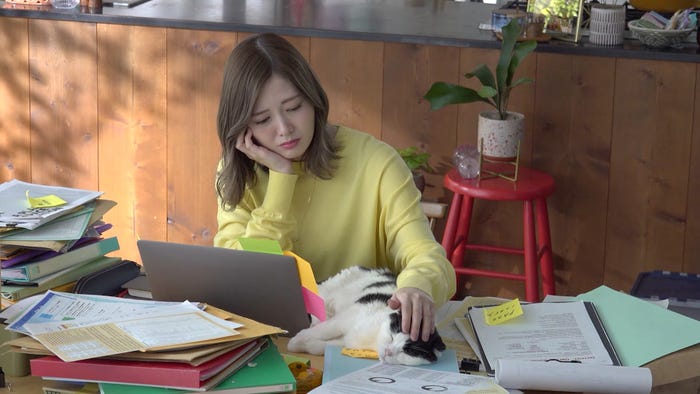 白石麻衣(提供写真)