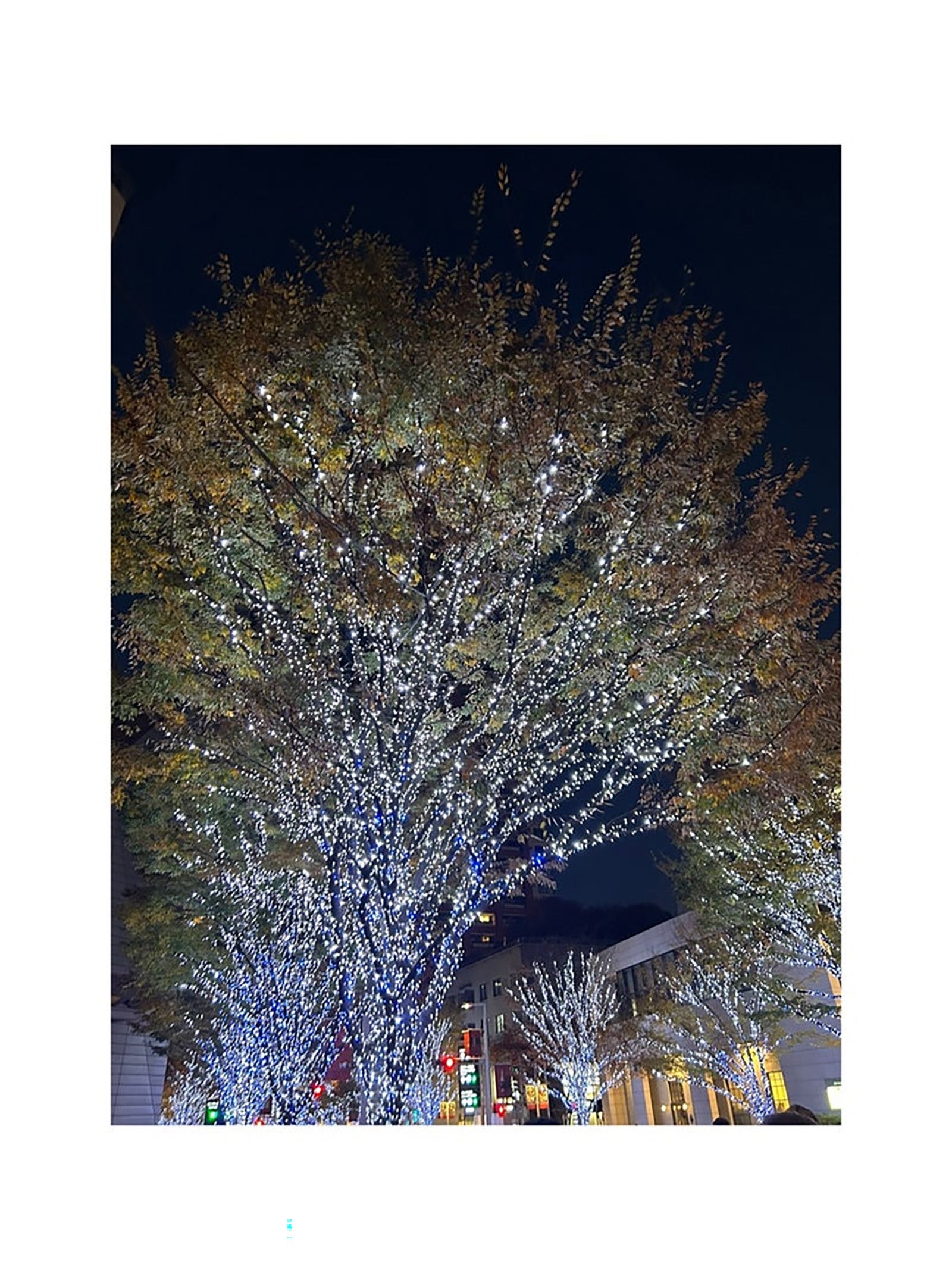 安めぐみオフィシャルブログより