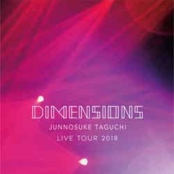 「DIMENSIONS ～JUNNOSUKE TAGUCHI LIVE TOUR 2018」（6月6日発売）DVD（提供写真）