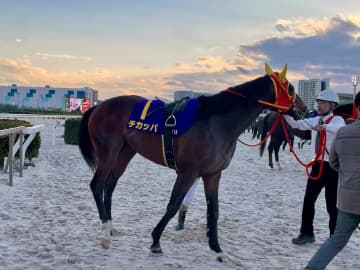 【地方競馬】フジノウェーブ記念 1番人気チカッパ7着 矢野騎手は「大井の1400メートルはイメージが湧きにくい」