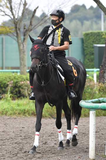 【サウジアラビアRC】アゴルディーノ 前走から2カ月で急成長 “チーム・田村”の思い胸にクラシックロードへ