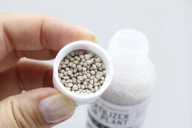 観葉植物・多肉植物用肥料FERTILIZERFORPLANT　中身