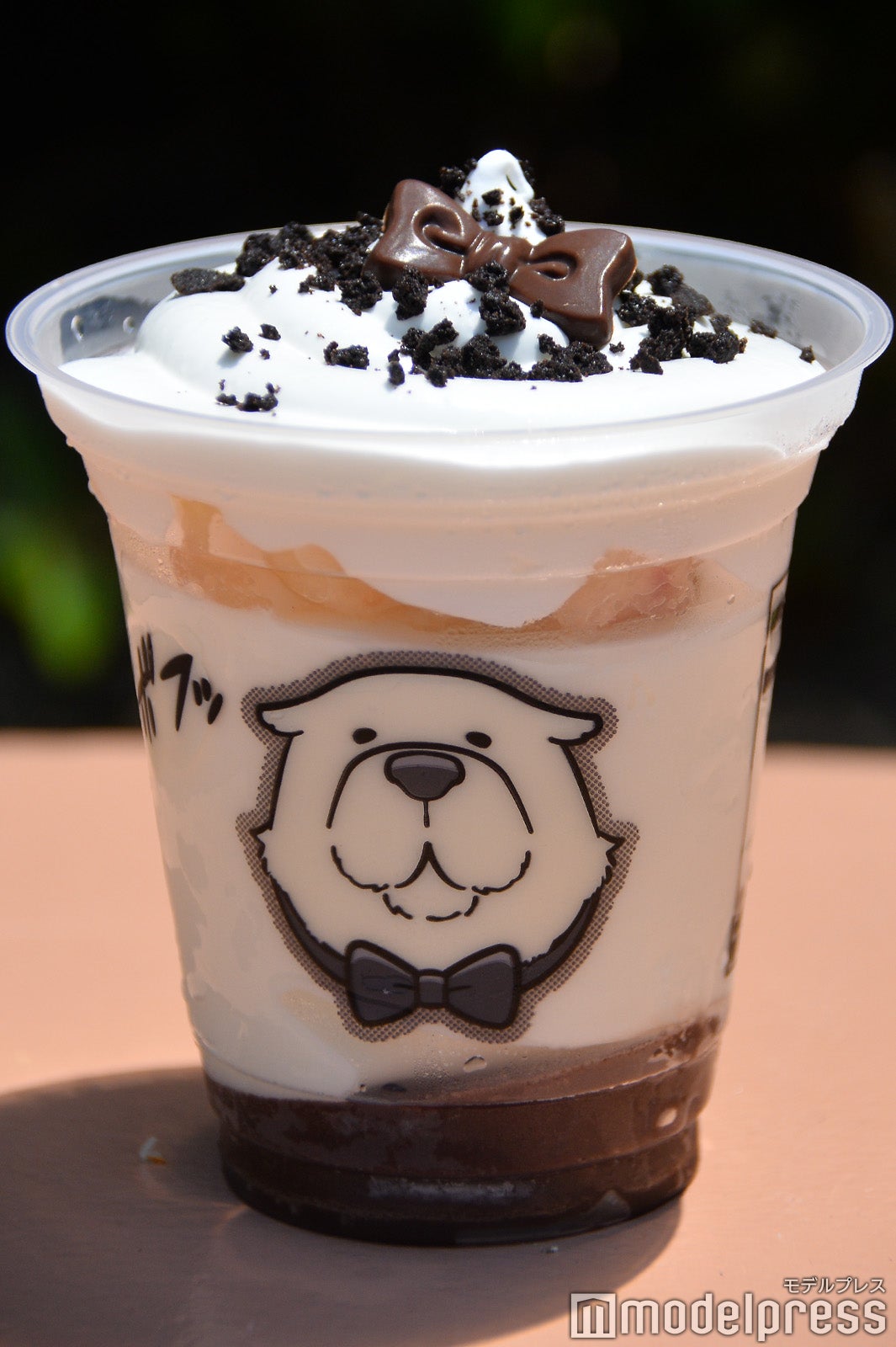 （C）モデルプレス