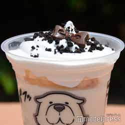 (C)モデルプレス