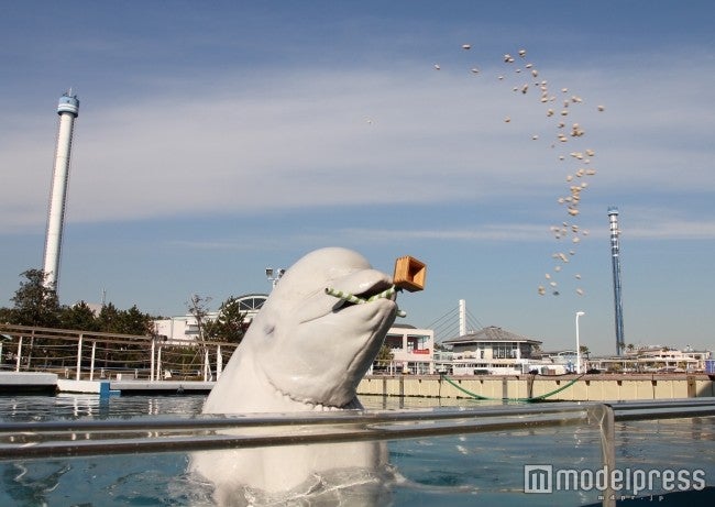 シロイルカの豆まき／画像提供：横浜・八景島