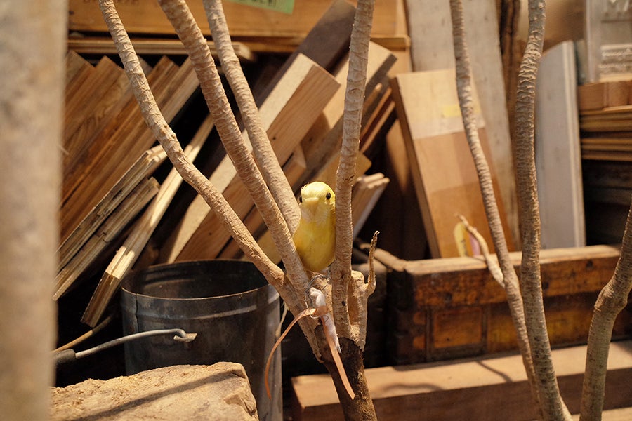 BARRACK 小鳥の人形