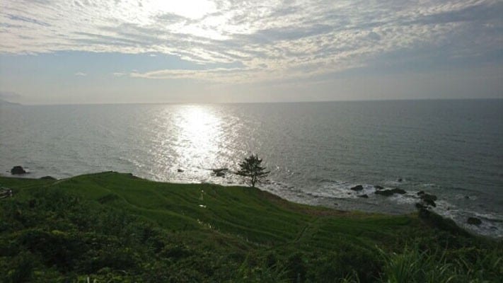 白米千枚田の夕方。日本海に沈もうとする夕陽と棚田を一緒に見ることができます(2019年7月撮影)