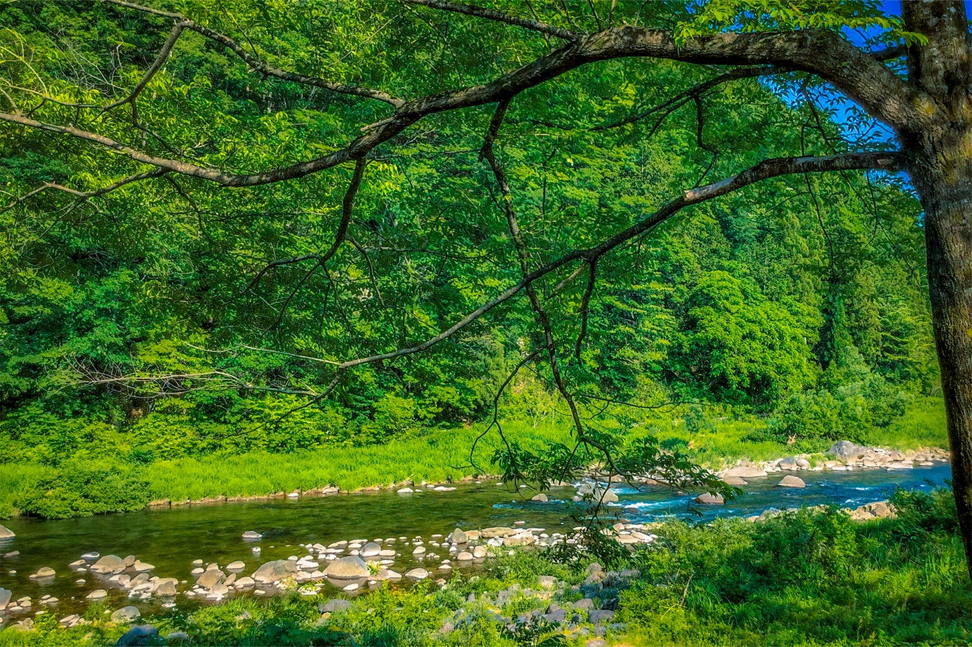 埼玉で川遊びできる「秩父定峰清流キャンプ場」日帰りBBQ＆蔵改装バーも