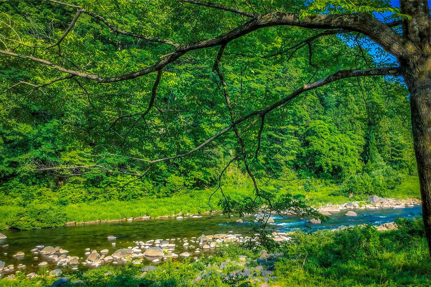 埼玉で川遊びできる「秩父定峰清流キャンプ場」日帰りBBQ&蔵改装バーも