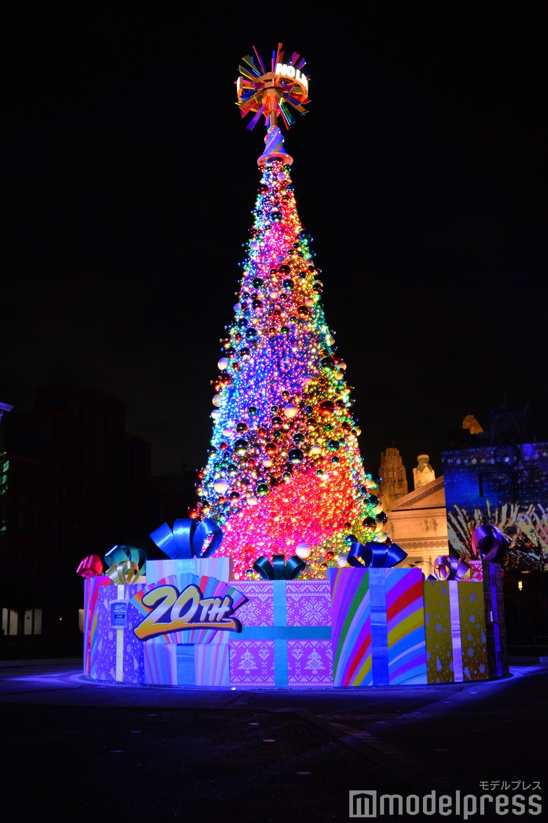 今年限定のクリスマスツリー（C）モデルプレス