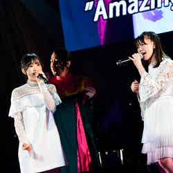 「第8回 AKB48紅白対抗歌合戦」（C）AKS