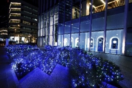 ヨコハマミライト（提供写真）