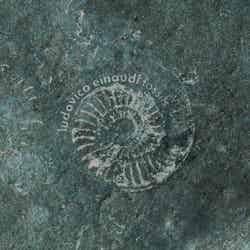 ルドヴィコ・エイナウディ「Fossils」デジタル・シングル ジャケット写真 （提供写真）