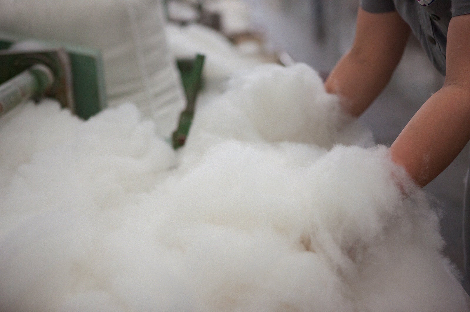 1頭の山羊で100g前後しか取れない貴重さ