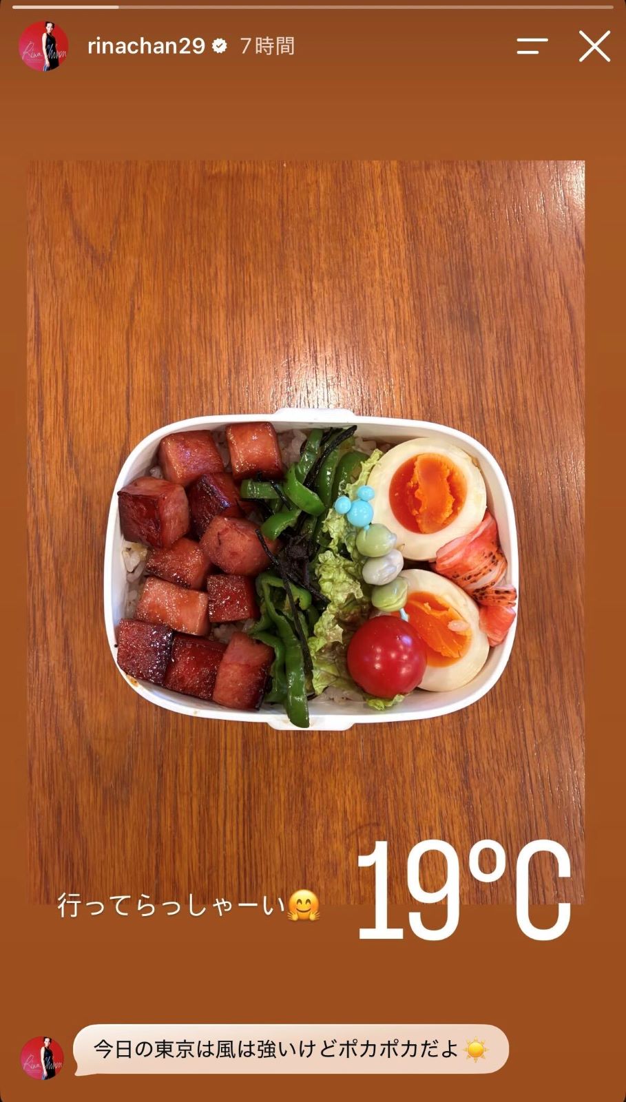 知念里奈Instagramストーリーズより