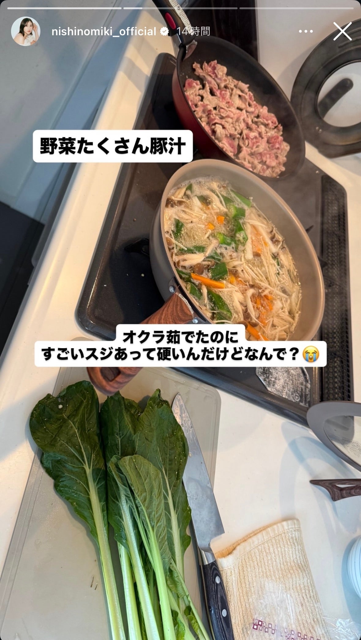 西野未姫Instagramストーリーズより