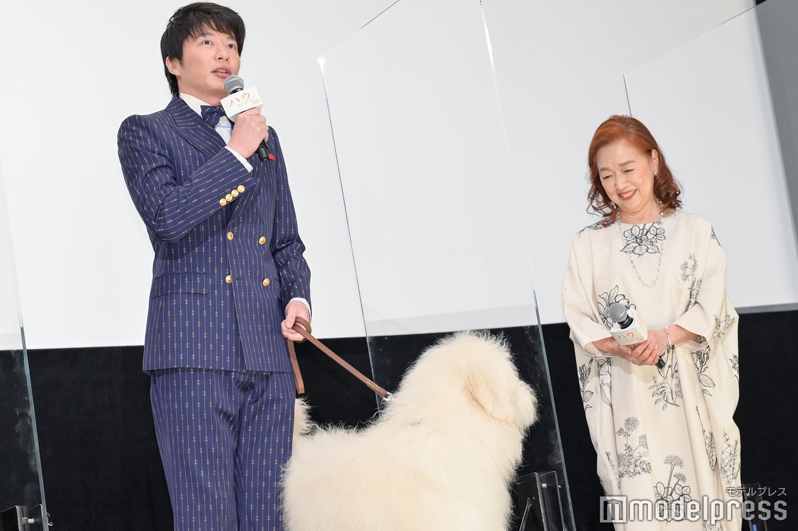 田中圭（C）モデルプレス