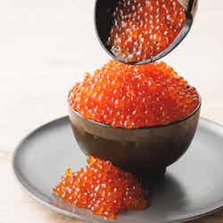 新こぼれいくら丼(提供画像)