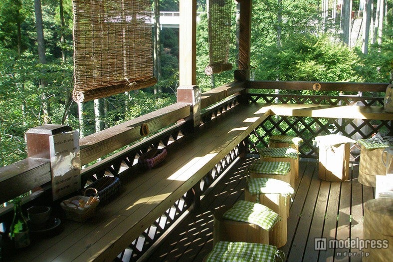 緑あふれる店内