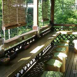 緑あふれる店内